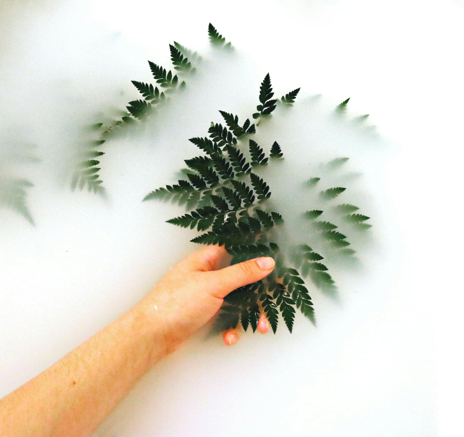 Natural ingredients skincare